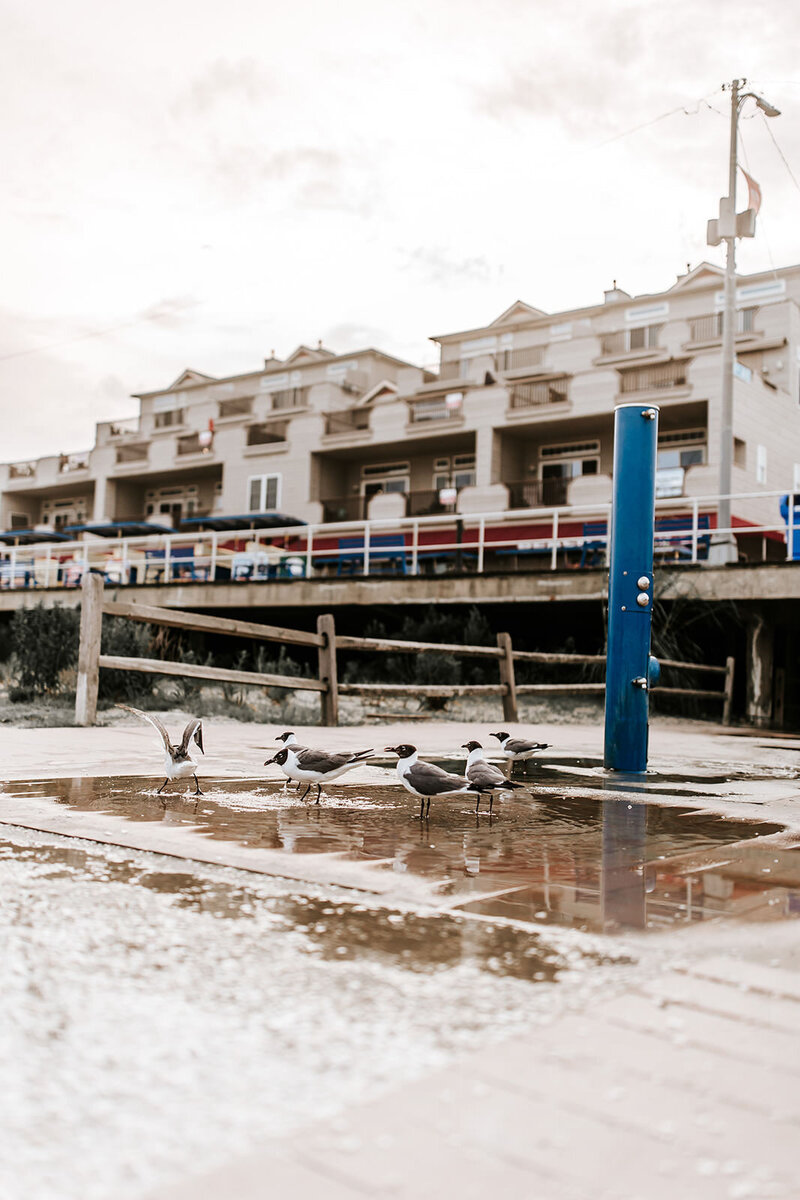 pictures-of-jersey-shore-beach3