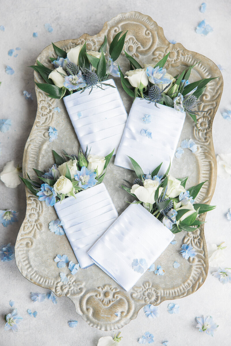 St-Audries-Park-Wedding-Photographer-17