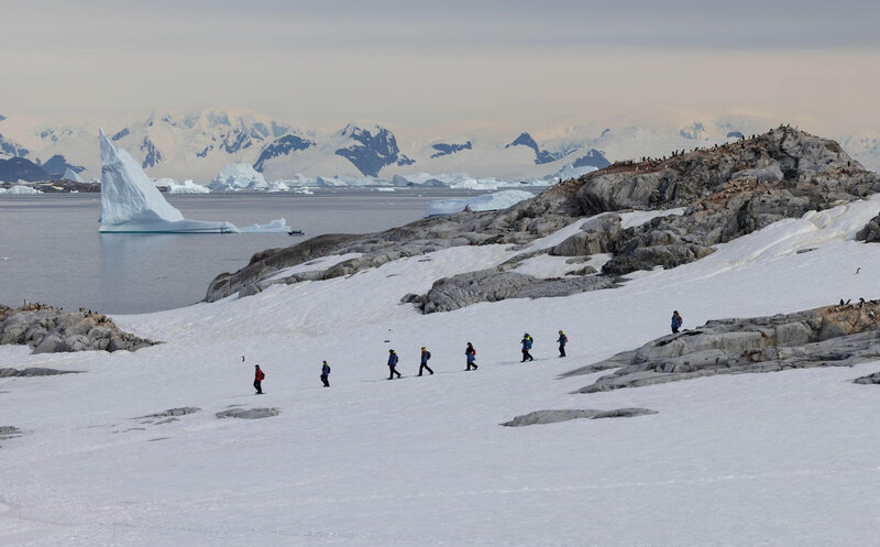 Ocean Zen Travel Unforgettable Trip to Antarctica - 3