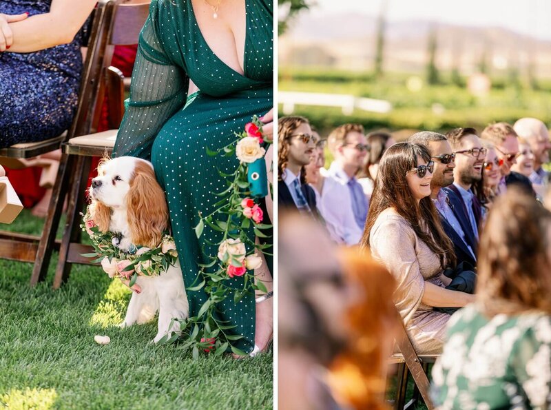 Palm Springs lgbtqia+ wedding photographer frank-112