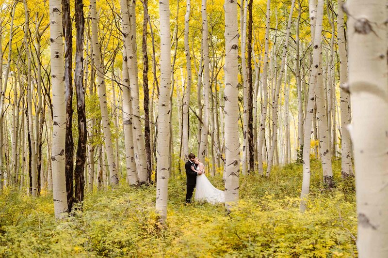 Bride and groom embracing in a golden aspen forest during a fall elopement in Telluride, Colorado, surrounded by vibrant yellow leaves and tall white tree trunks, photographed by Colorado elopement photographer Alpine Vows