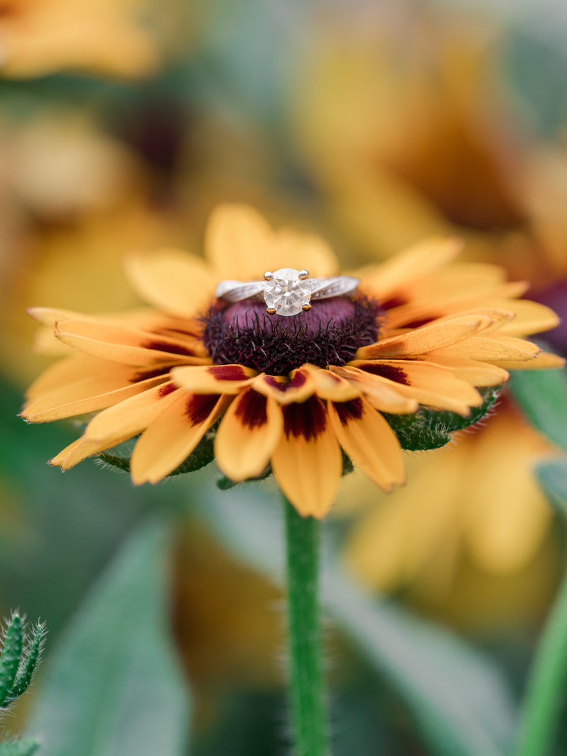Jennifer B Photography-Sandhills Horticultural Gardens Engagement-Pinehurst NC-Cody and Kayla-2019-0234