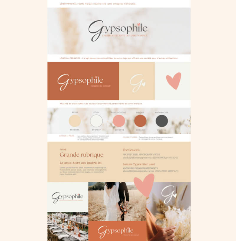 IV gypsophile portfolio herbier graphique