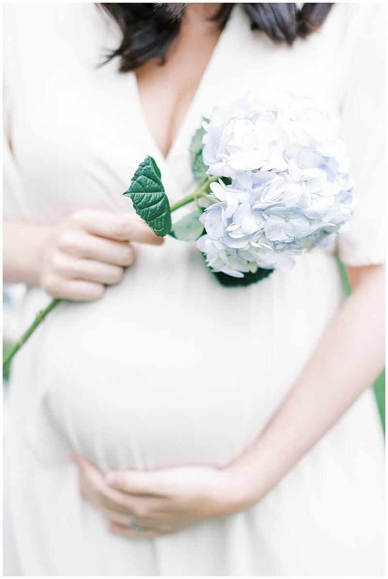 Pregnant woman cradles belly during her DC maternity photo session while holding a blue hydrangea in one hand