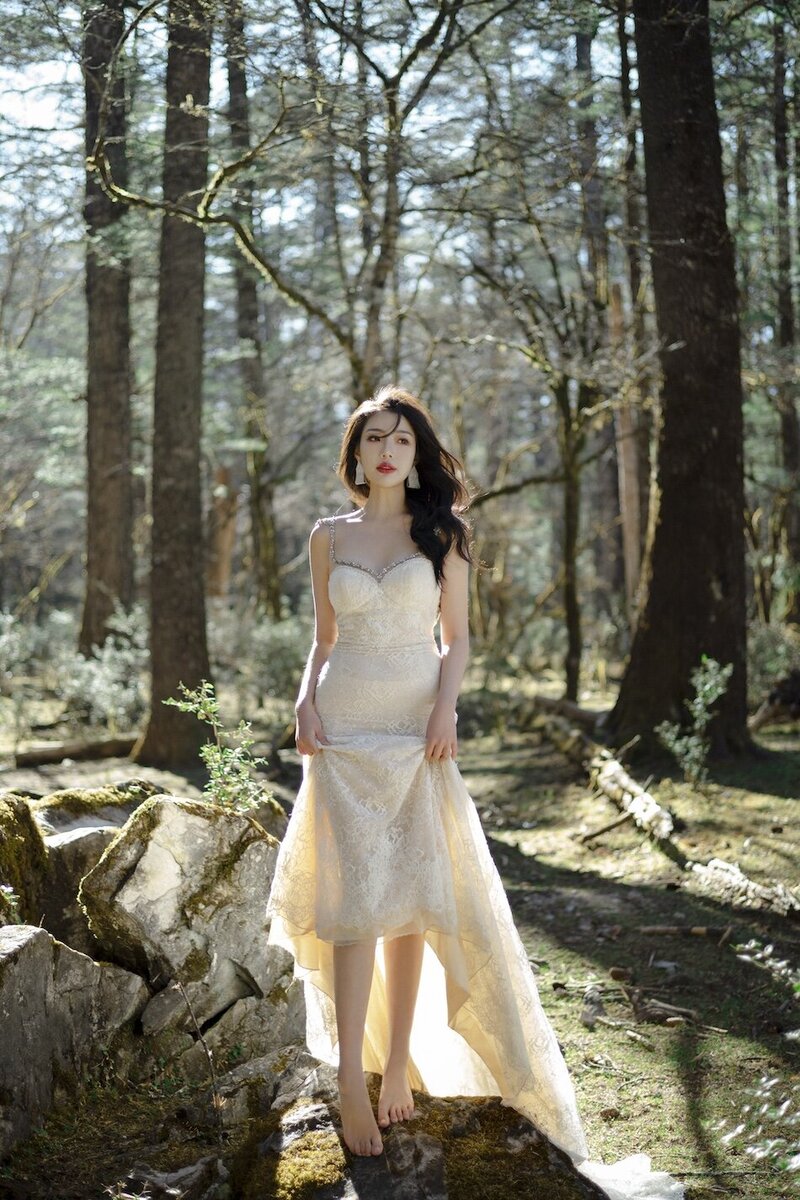 Bride in a couture dress shot in dramatic trees with mountains in the background.