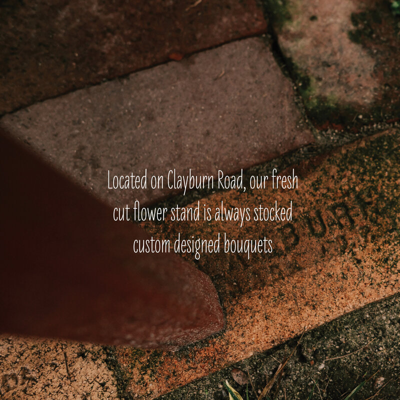 UNROOTED BLOOMS - ABBOTSFORD GRAPHIC DESIGNER MEGAN ASHLEY CREATIVE