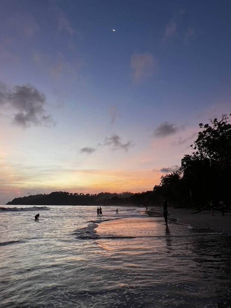 D87BF9BF-B0AB-42EC-8EC8-01A0799B233E_1_105_c