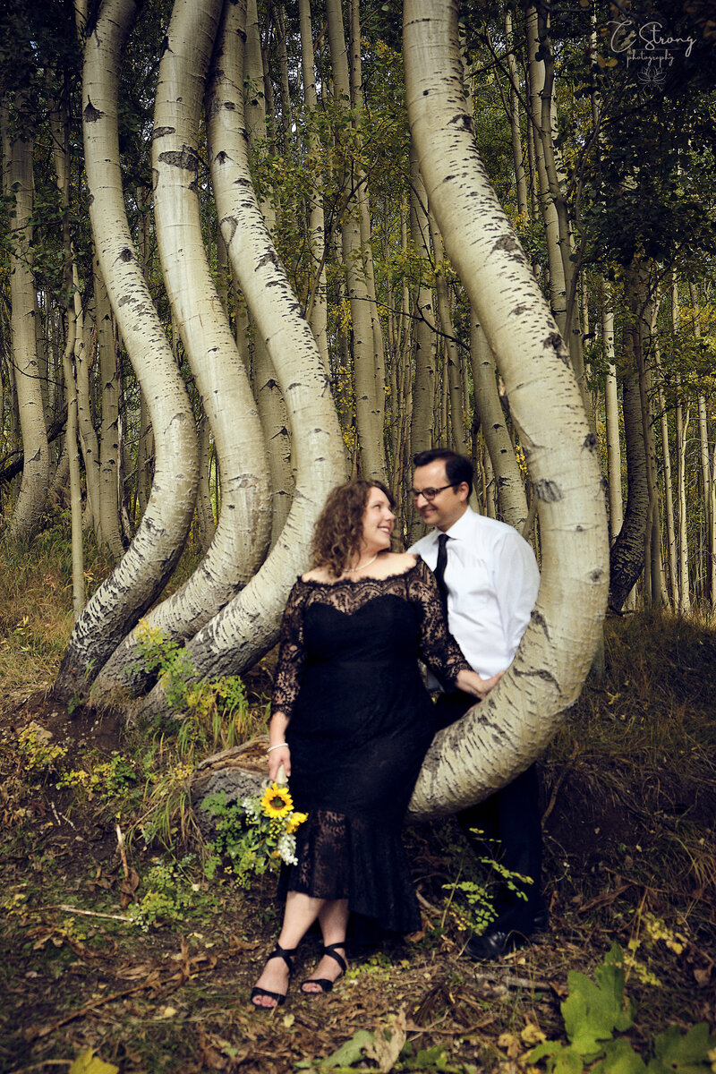 Vow renewal near Telluride