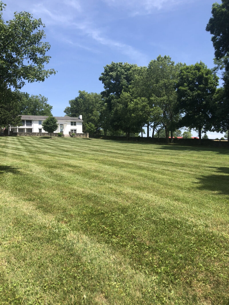 White house with big lawn in Lexington, Kentucky
