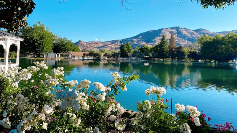 2022 Soul Retreat California womens wellness and spiritual retreat hosted by healer Dana Haines at wonder valley resort, next retreat in oceanside california at mission pacific