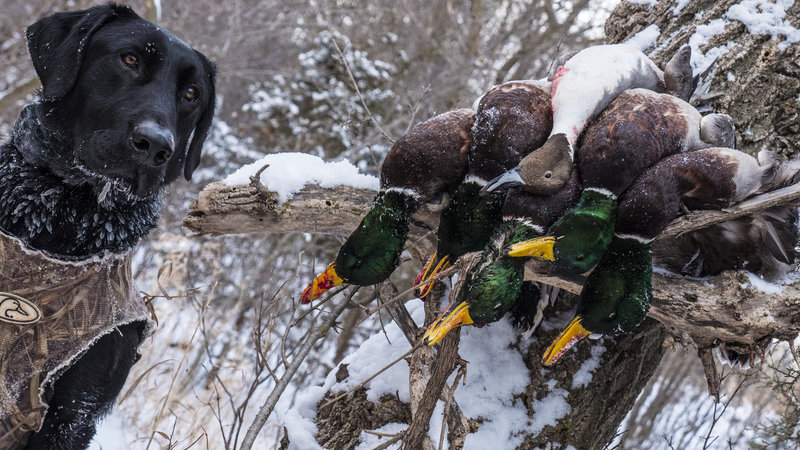 Raven 6 Studios filming on a very cold morning in Nebraska.