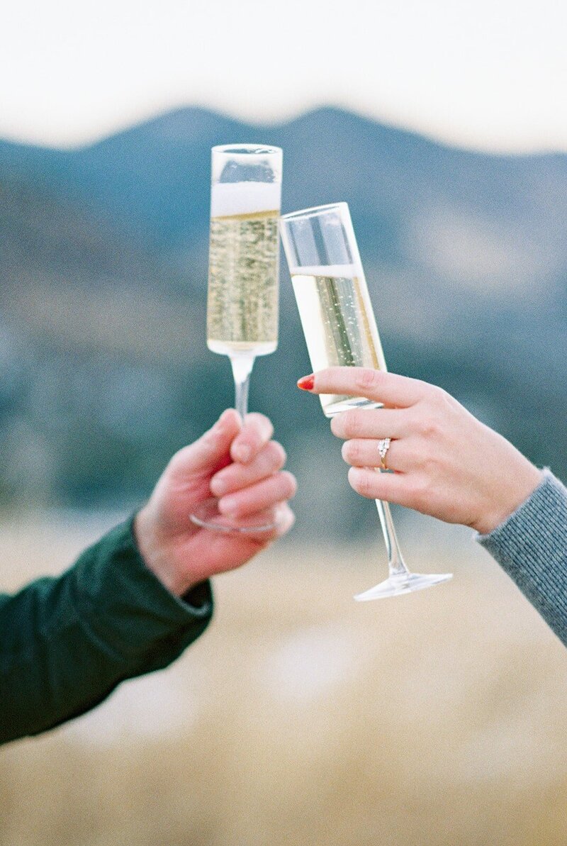 champagne cheers