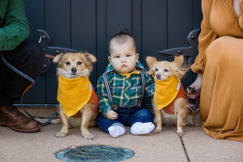An infant sitting with two small dogs dressed in bandanas, perfectly captured in a pet-friendly mini session near Philadelphia.