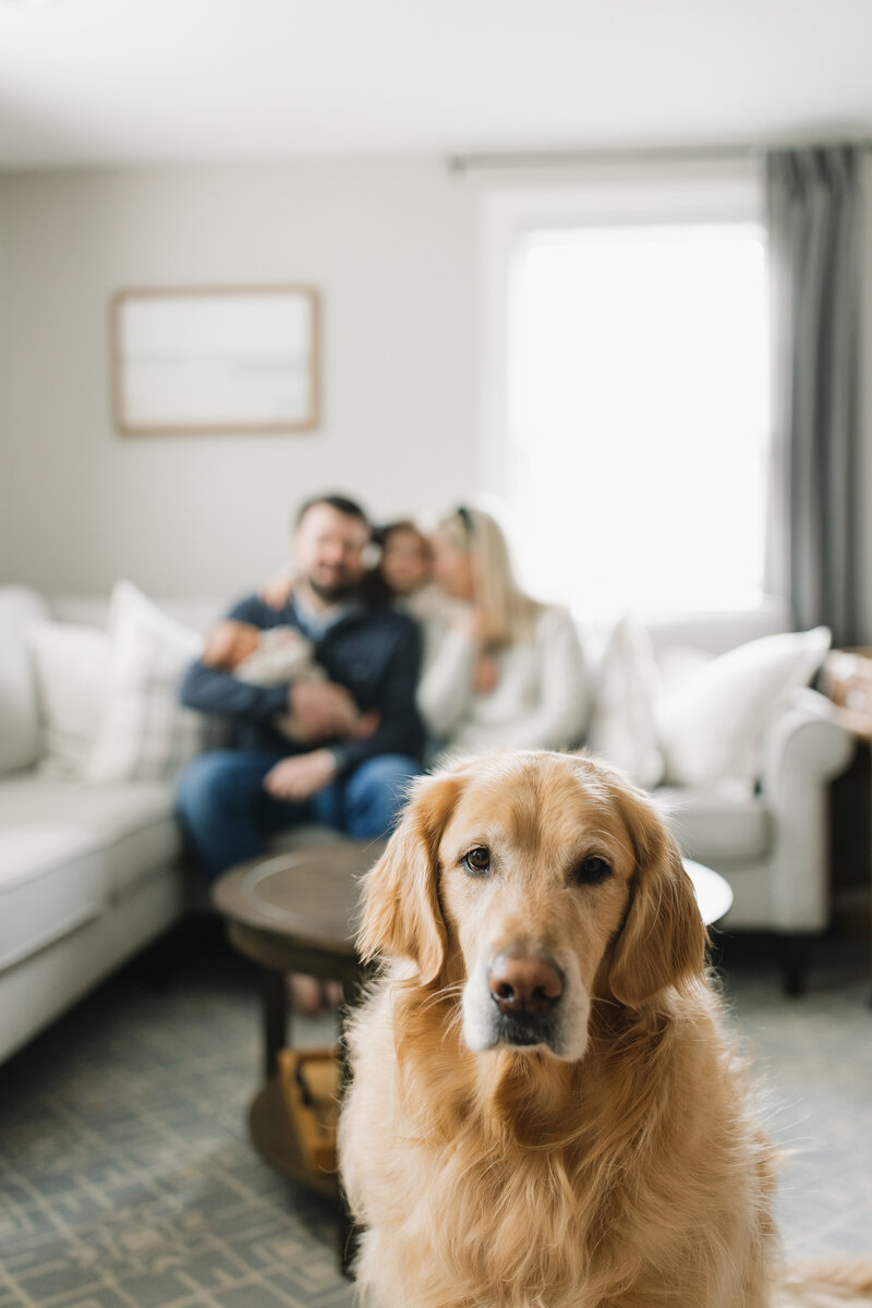 EmilyMcCaffertyPhotography_MilesNewborn-78