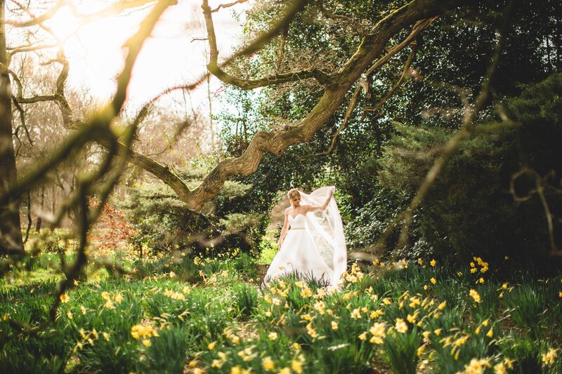 Bride under the tree amongst the daffodils at Iscoyd Park
