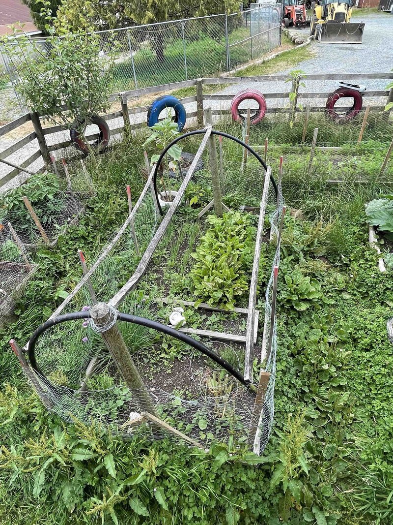 The Silo Garden 2022 - 01