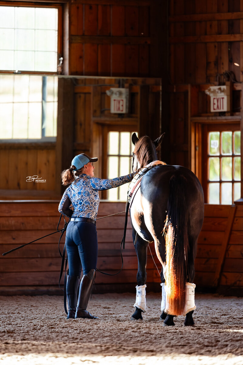 Horse boarding in Lancaster, PA