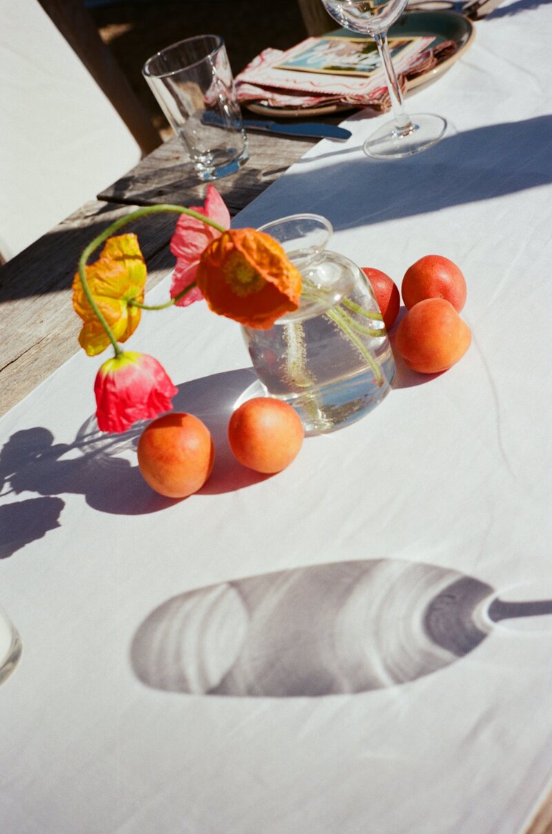 kodak_professional_portra_160_07_08_2024_000328280024