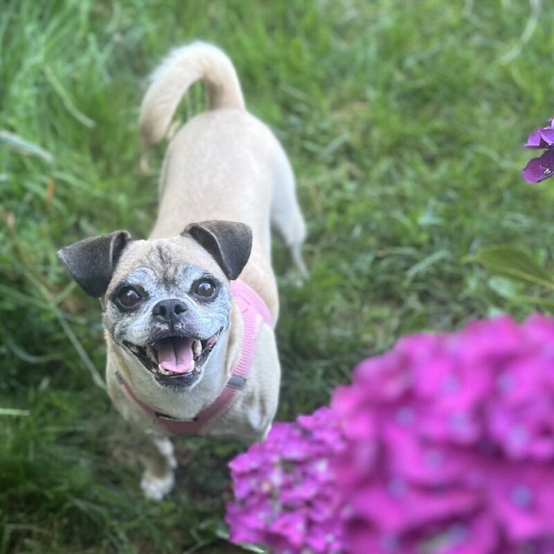 Coco (5)