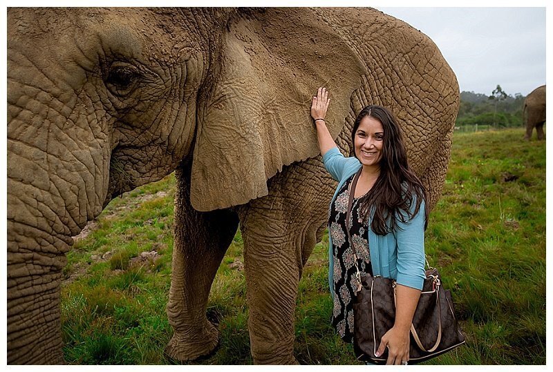 Dawn, a Jupiter wedding photographer, petting an elephant