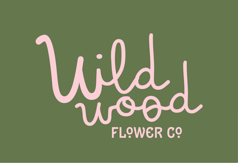 Brown Single Object Tote Bag Mockup Instagram Post