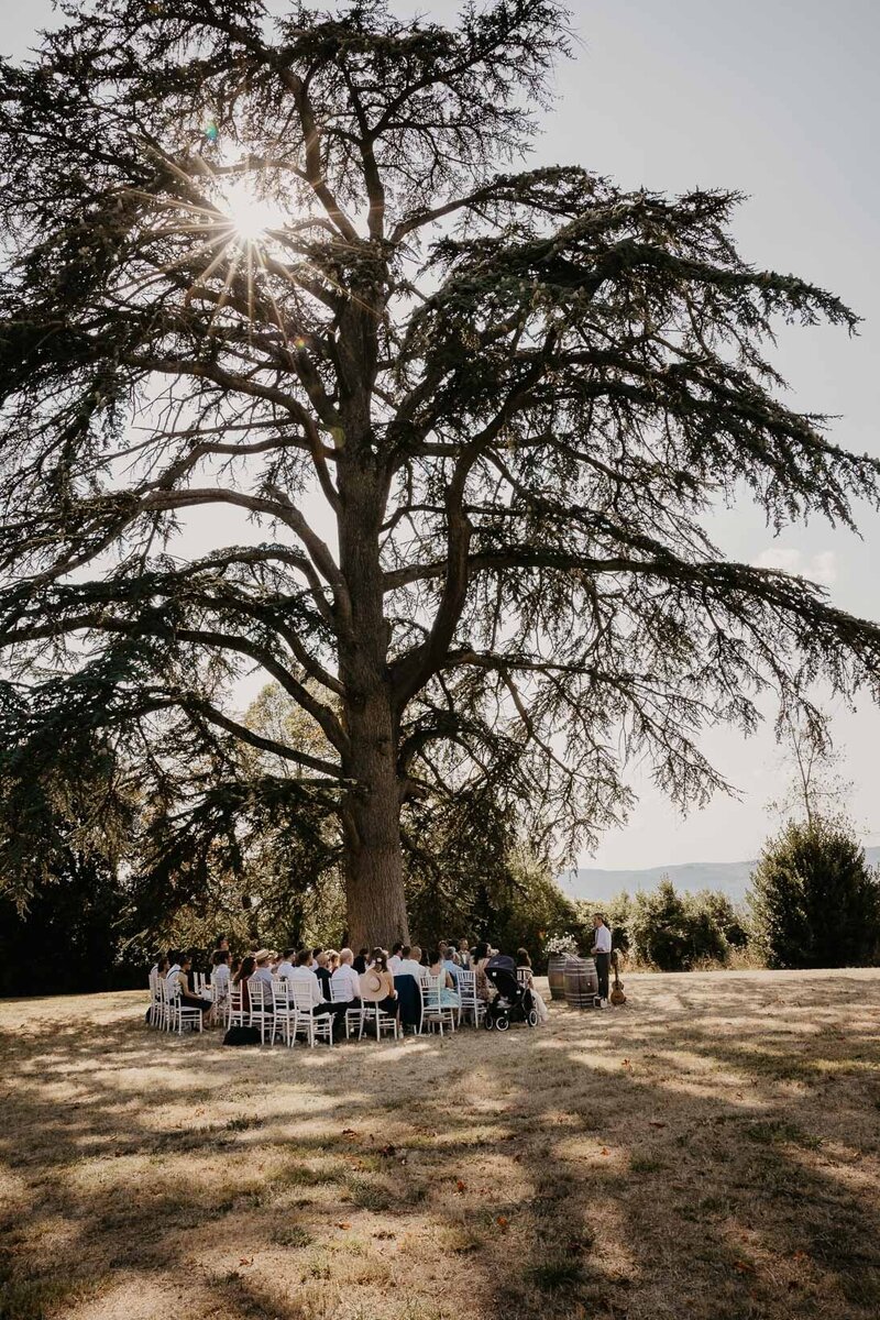 Symbolic civil ceremony under a magnificent Lebanese cedar, Fattoria Lavacchio.