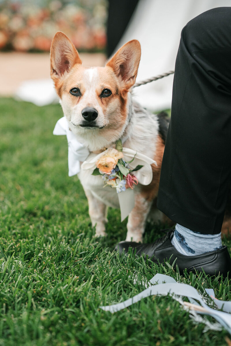 wedding_0620
