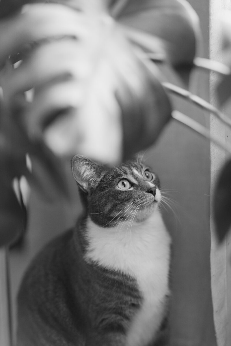 luckylady_2025-KAYLAESPARZAPHOTOGRAPHY-114