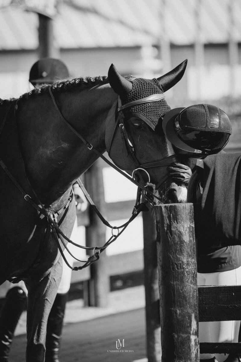 Unbridled MediaAAM_4203