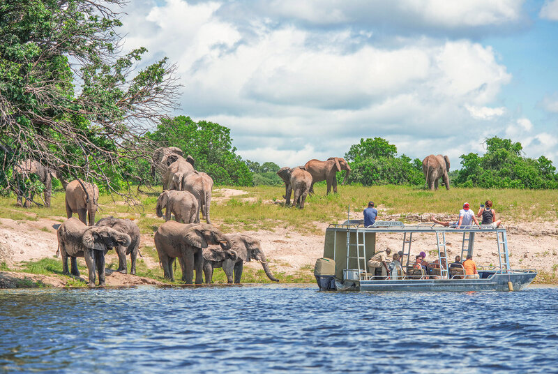 AmaWaterways safari