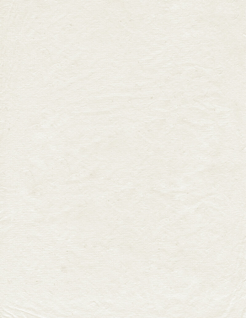 paper texture for shannan griffiths branding