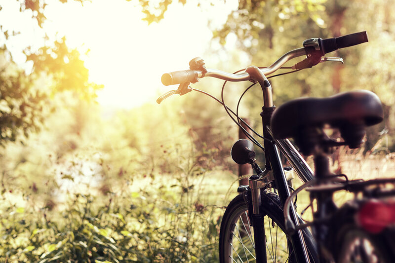 Fahrrad im Wald.