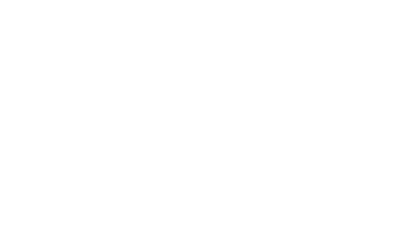 NicSo Studio Charlotte Maternity and Newborn Photographer logo