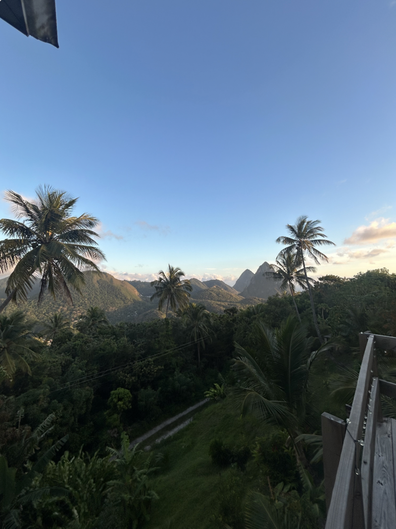 Screenshot 2025-11-07 at 7.13.57 PM