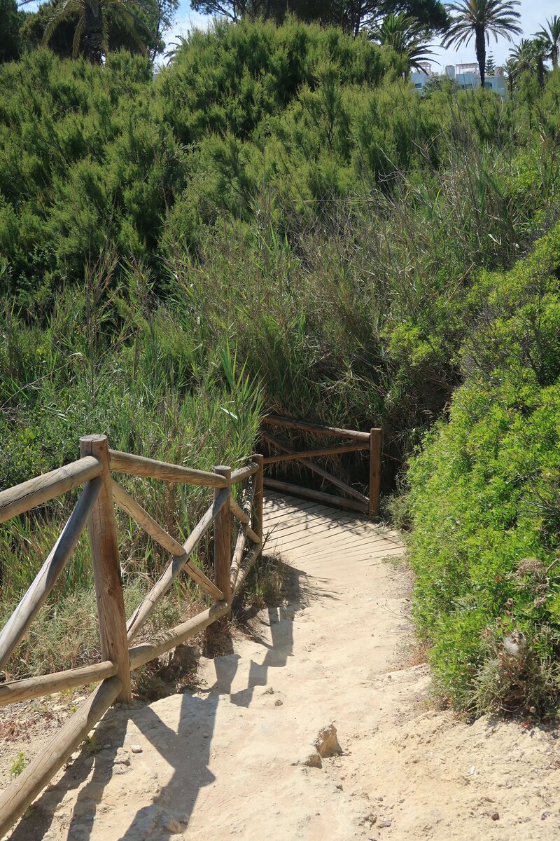 Seven Hanging Valleys Trail