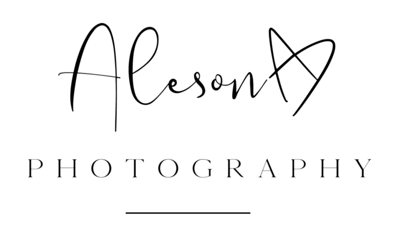 B Creative Company Brand Design
