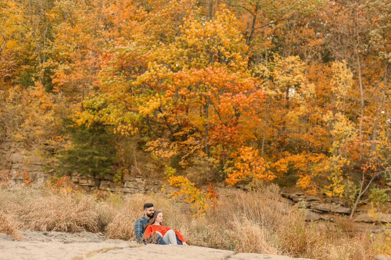 Nicole & Hozhabr Engagement -175