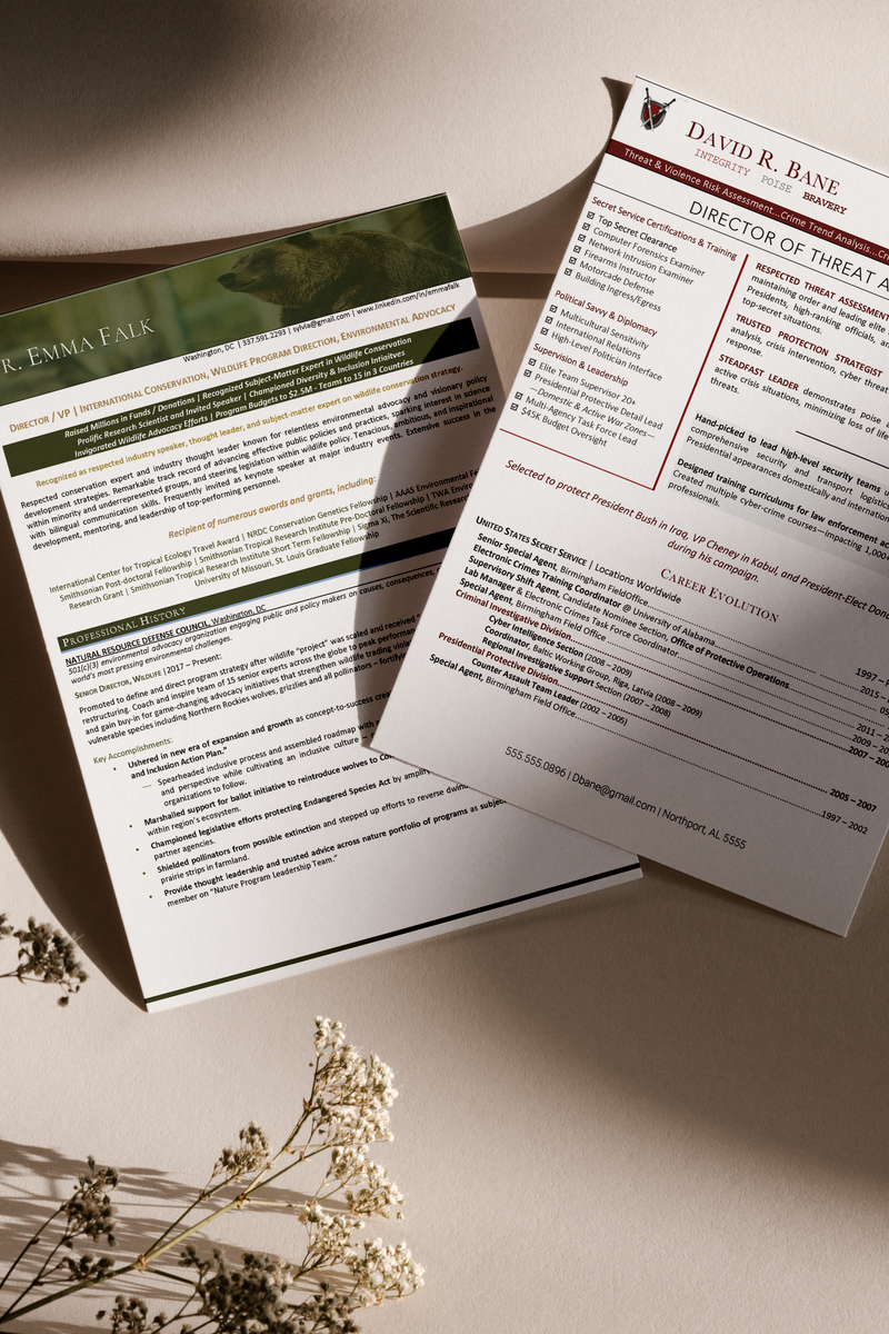 Branded executive resume samples