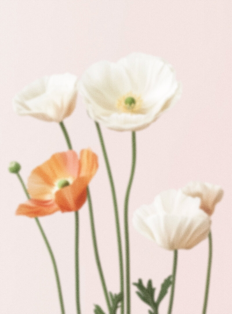 Grainy Floral Image
