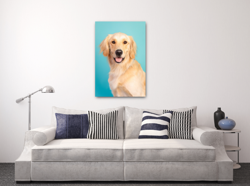 Large printed photo of dog hanging over couch