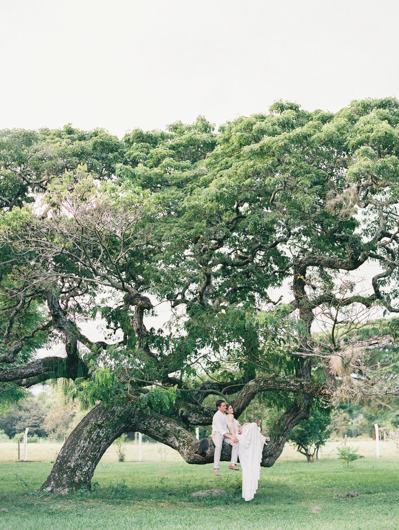 Colombia-destination-wedding-tree-Stephanie-Brauer