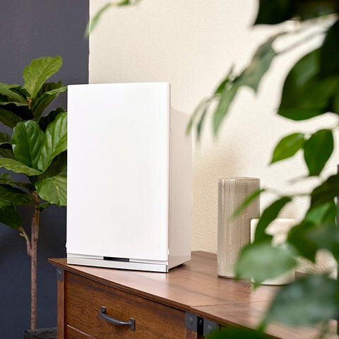 Intellipure compact model air filter sitting on a table with plants nearby