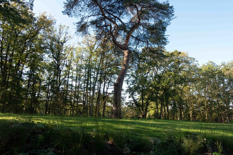HORUS PAYSAGES_architecte paysagiste_yvelines_stanislas jung-7