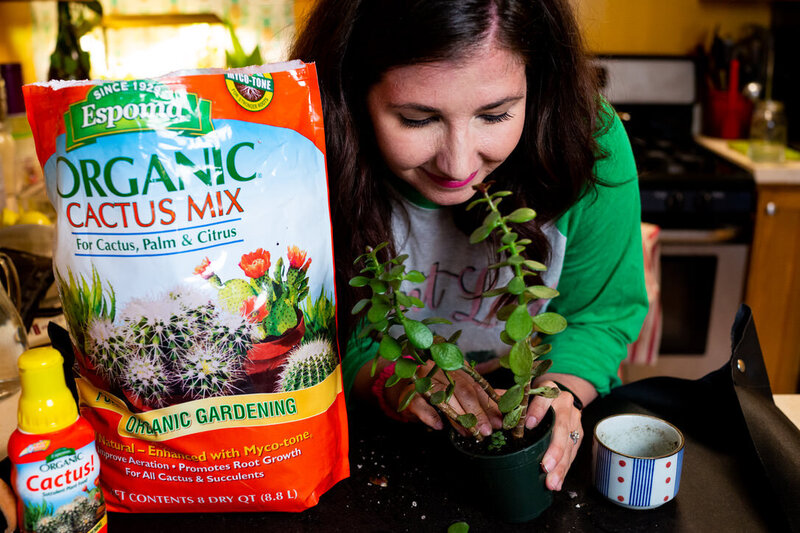 Woman pots a plant with Espoma organic cactus mix