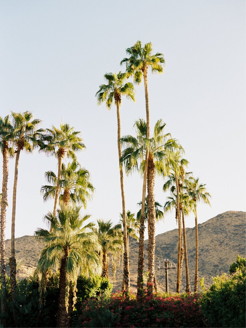 RyanRay-destination-vogue-wedding-photographer-palm-springs-california-015