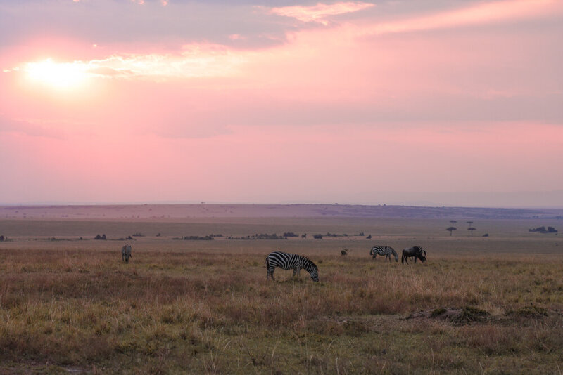safariedited-132