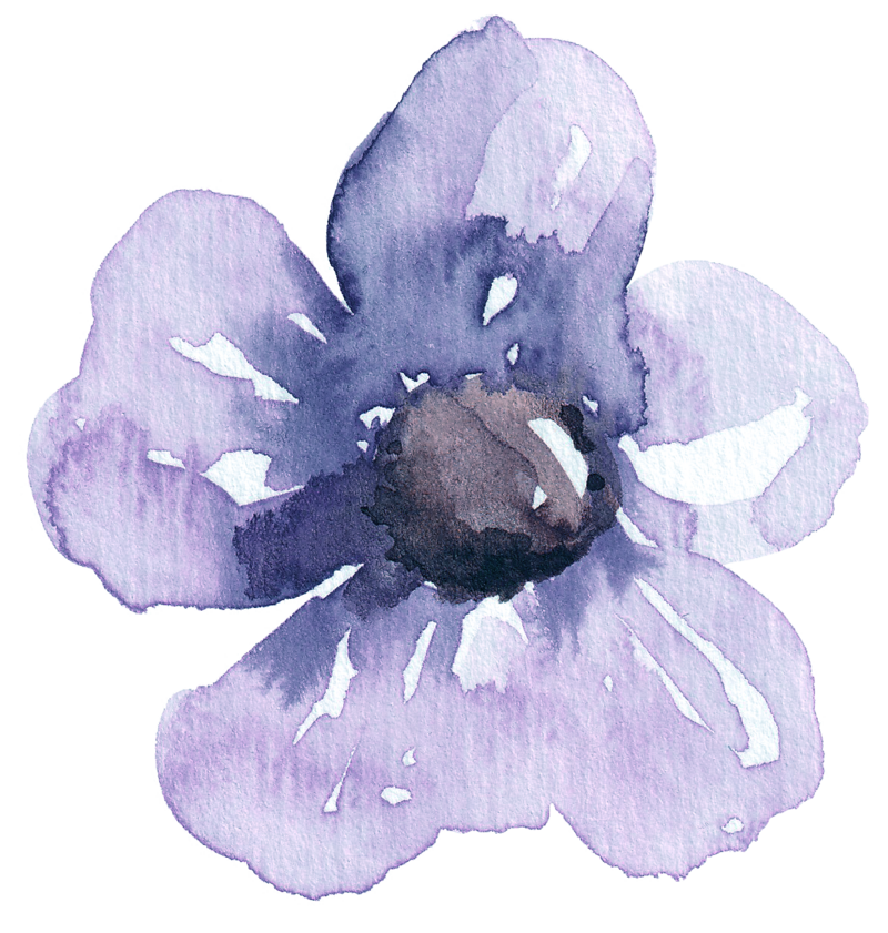 lavender flower 2