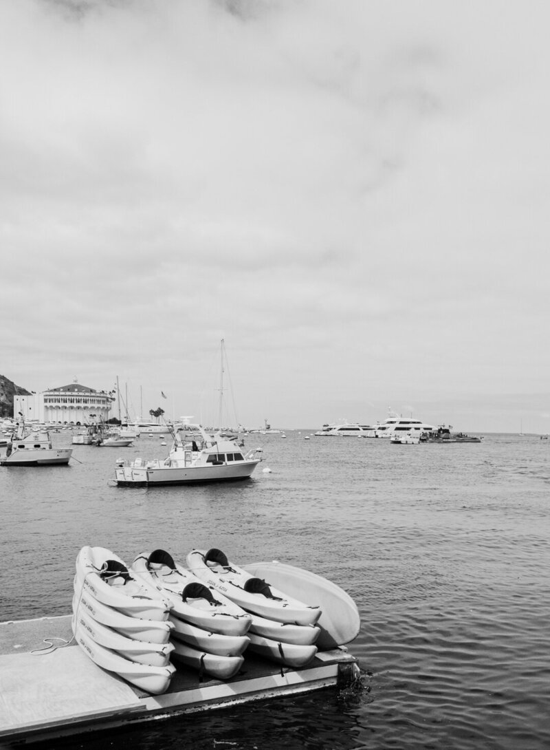 DSC_3971