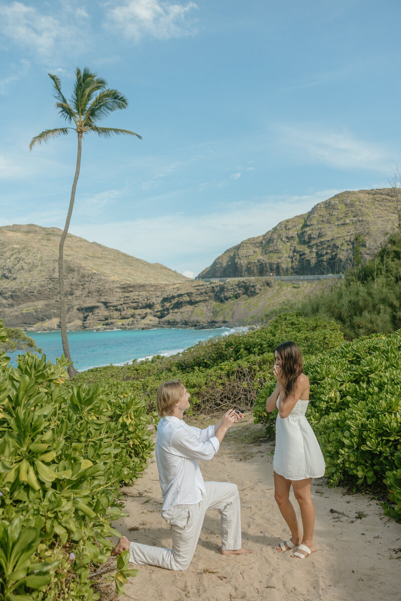 Engagement Photos in Oahu