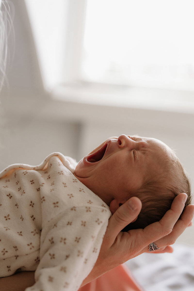 Baby newborn pasgeboren